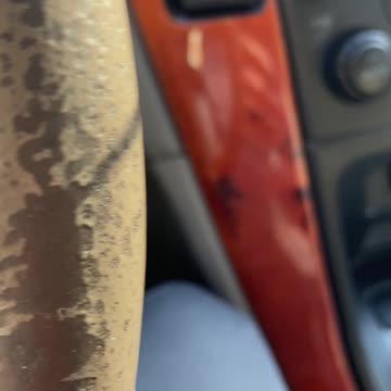 Jews and Arabs are ?