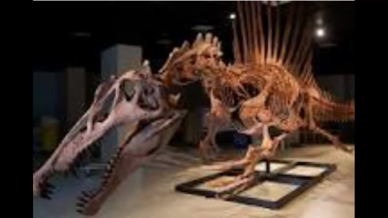 The Spinosaurus