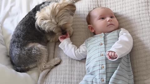 Adorable babies playing with dog