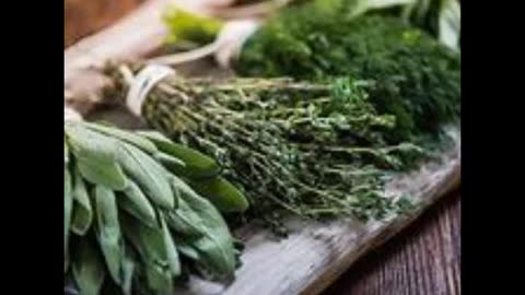 Herbs According to Your Birth Sign