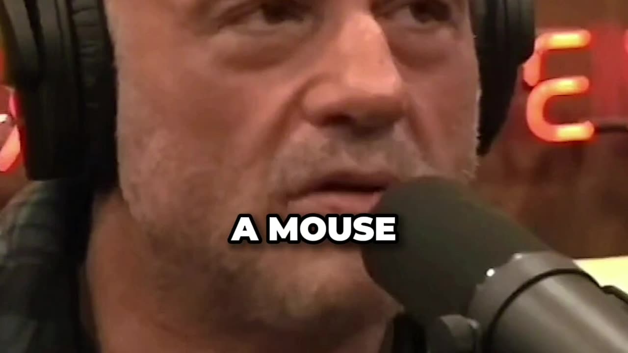 Joe Rogan DESTROYS Bobby Lee