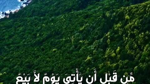The most beautiful voice in the Holy Quran