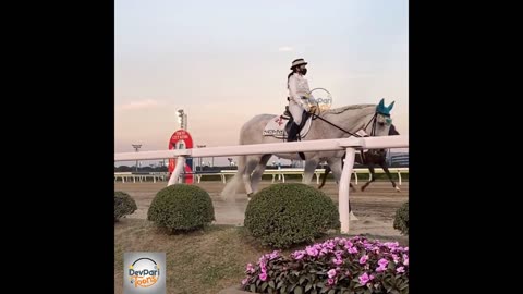 Badal - The Winning Horse