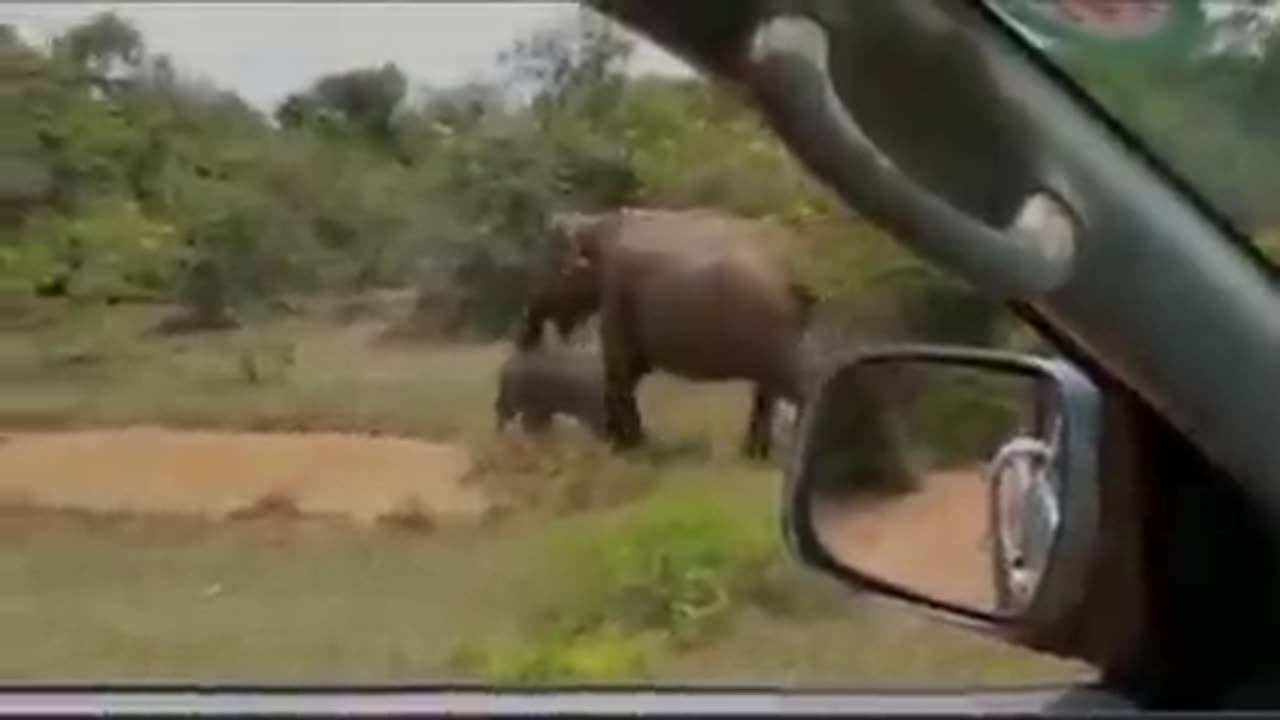 thrilling scene