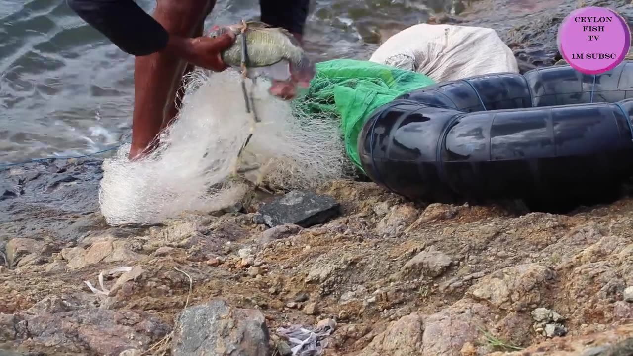 Cast Net Fishing