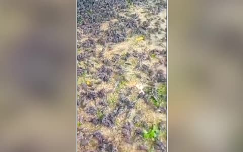 Strange Things Are Falling From The Sky! Something Terrifying Is Going To Happen In Europe!