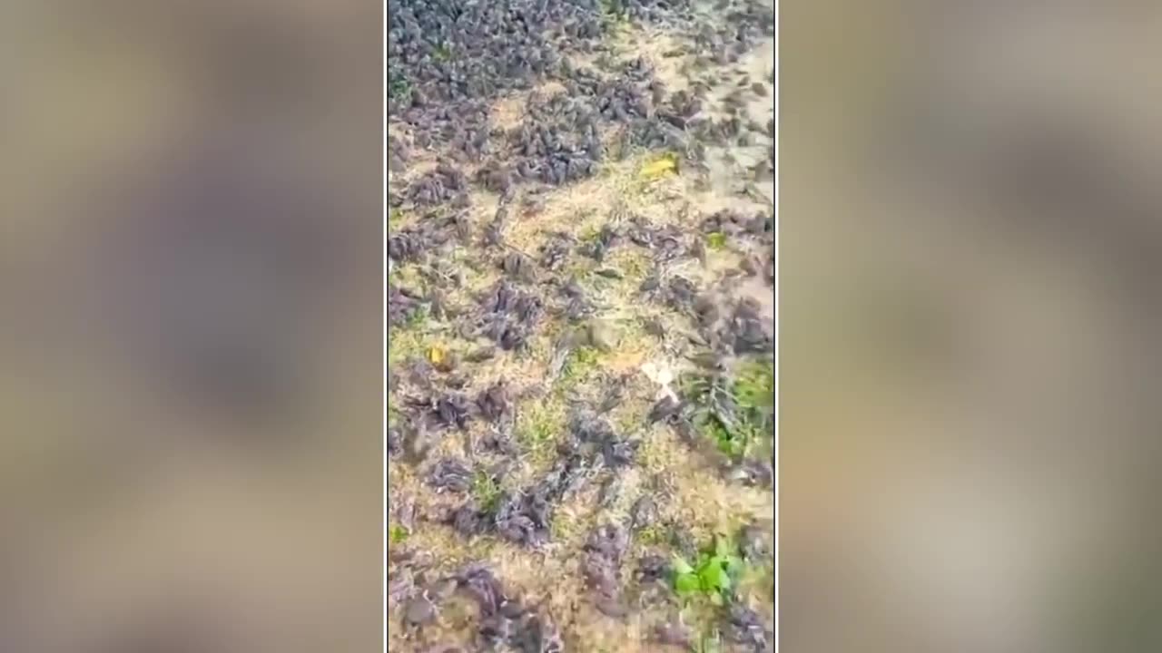 Strange Things Are Falling From The Sky! Something Terrifying Is Going To Happen In Europe!