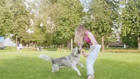 Dog training