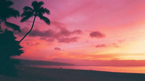 Tropical Soul songs by Luke Bergs I Fit mindss