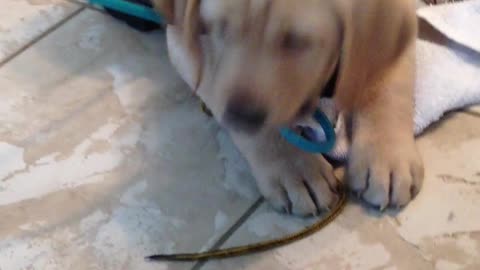 2012.12.15 Gunner