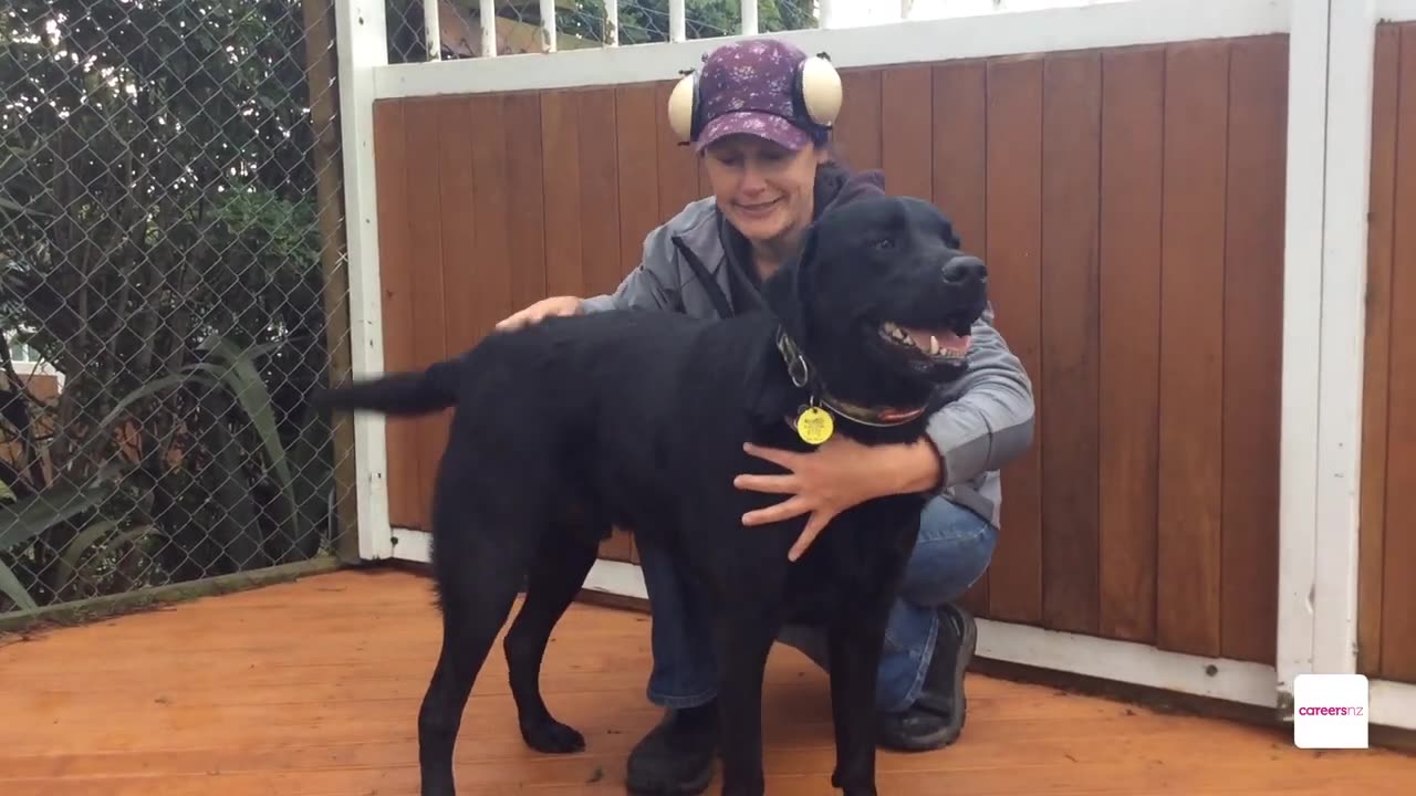 Animal care attendant