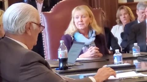 Anne Edwards speaks at the Public hearing at NH Executive Council Meeting.