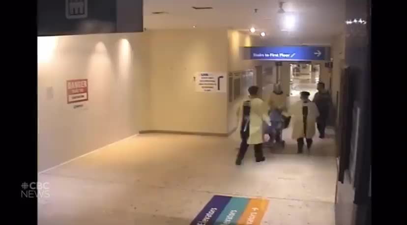 Hospitals will literally kill you in the name of “safety.”