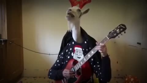 DOES THE GOAT PLAY THE GUITAR???