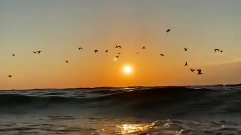 Sunset On Beach