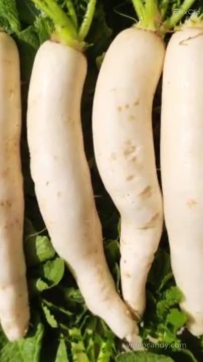 Piliya Ki Samsya Kaise Door Kare