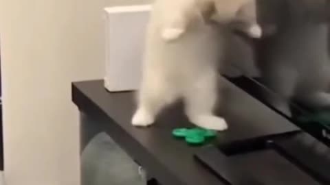 fanny video moments