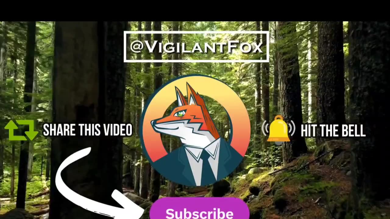 MEP Christine Anderson MINI-RANT 4DA PEOPLE @VIGILANTFOX