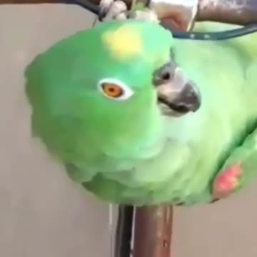 Slow down my claws are slipping!!! 😂😂