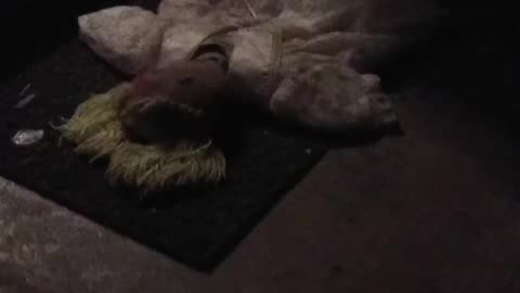 Doll Trample 2