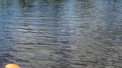 Bayou Kayaking