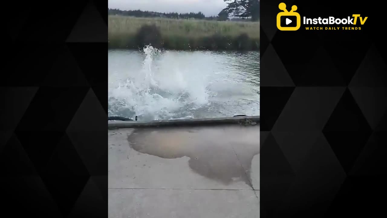 Best Fails of the Year (So Far) 2023 | Part 1 | InstaBookTV