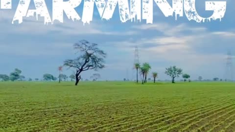 Farmar