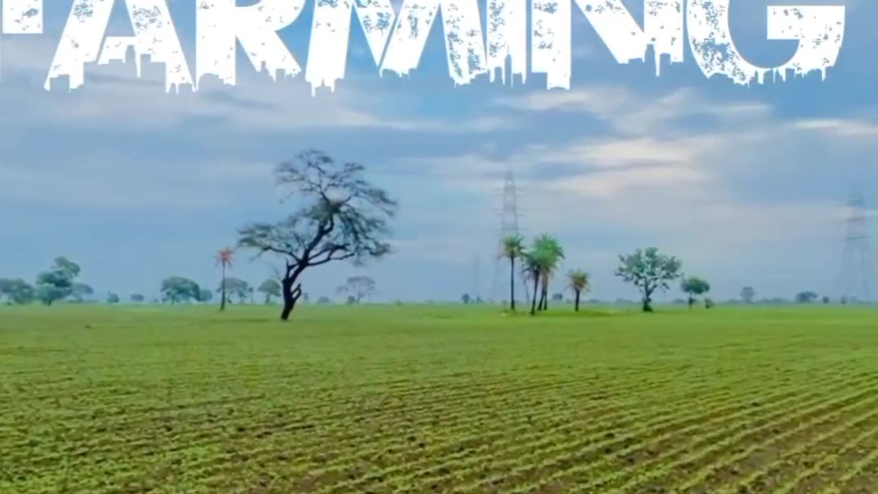 Farmar