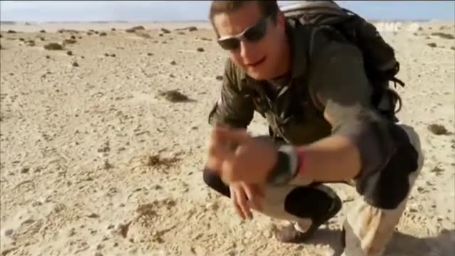 2 plantes très utiles d'Afrique du Nord #manvswild #survivaltips