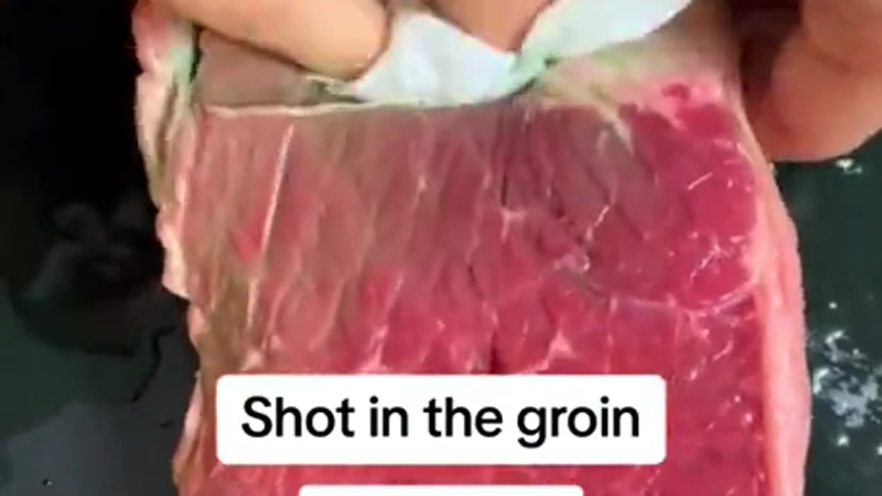 How to treat different gunshot wounds