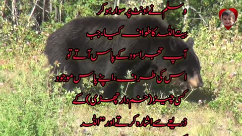 Ajare aaswad ke kareeb jaake Allah Hu Akbar kehna!