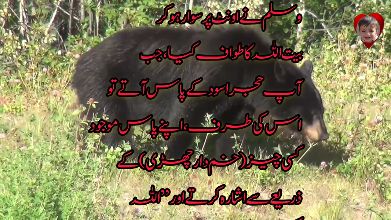 Ajare aaswad ke kareeb jaake Allah Hu Akbar kehna!