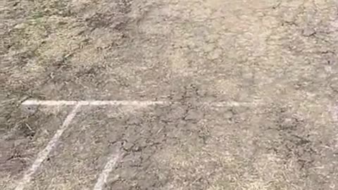 UET Cricket Ground Taxila