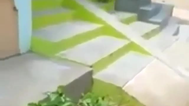 Funny Short Video Collection 1 (31)