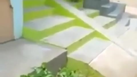 Funny Short Video Collection 1 (31)