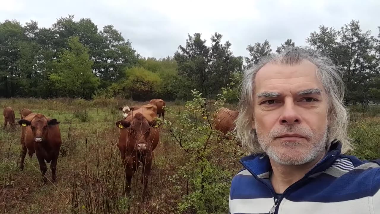 Rotational Grazing by Zeljko Serdar