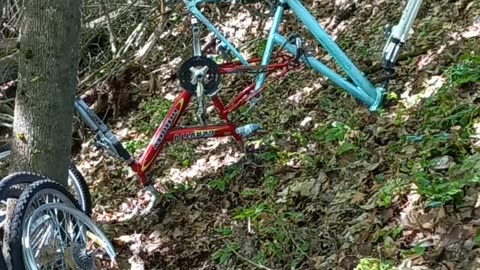 Stolen Bikes