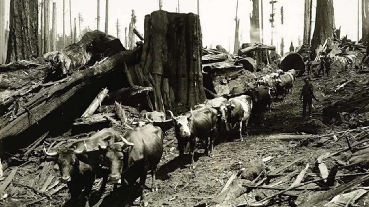 VIRAL CREEPY AND STRANGE VIDEOS TO QUESTION REALITY PT80