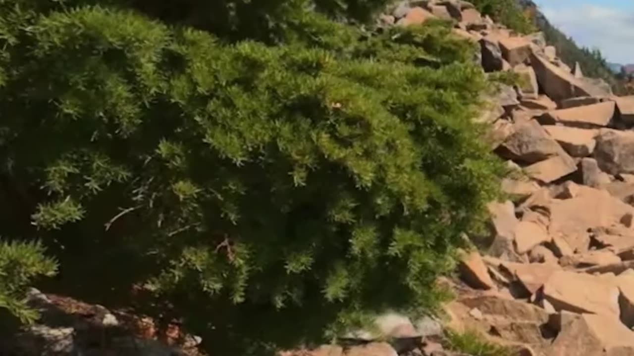 Bounce-Free Hiking: Testing the Hoverglide Backpack with Extra Weight