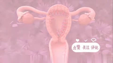The intricate Process of menstruation cycle | woman body history