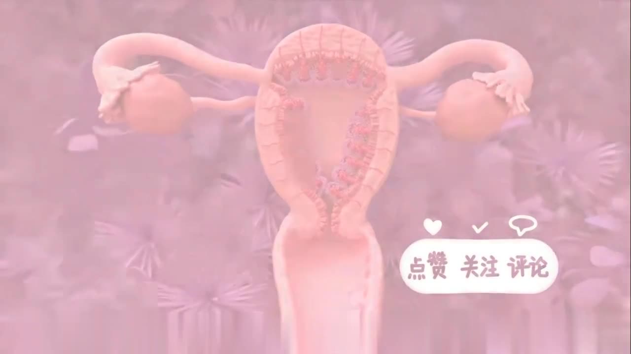 The intricate Process of menstruation cycle | woman body history