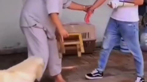 Funny video 😂😂📸😂