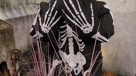 Lil Skelly Bones At Spirit Halloween