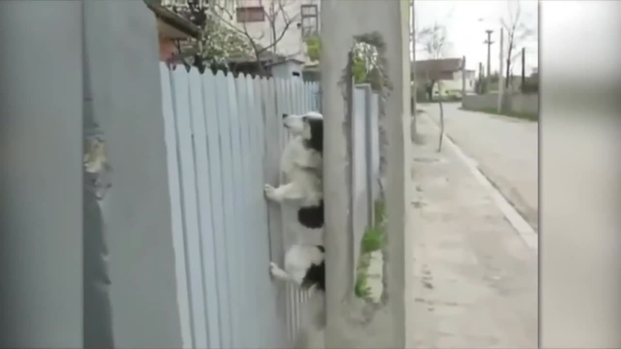 πΈπ± Unbelievable Moments Caught on Camera: You Won't Believe Your Eyes!