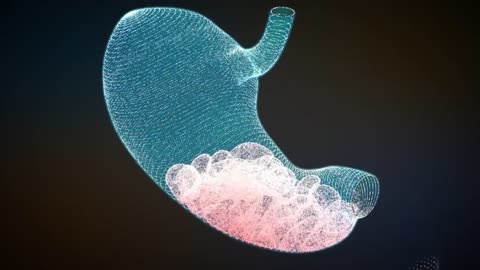 HUMAN DIGESTIVE SYSTEM