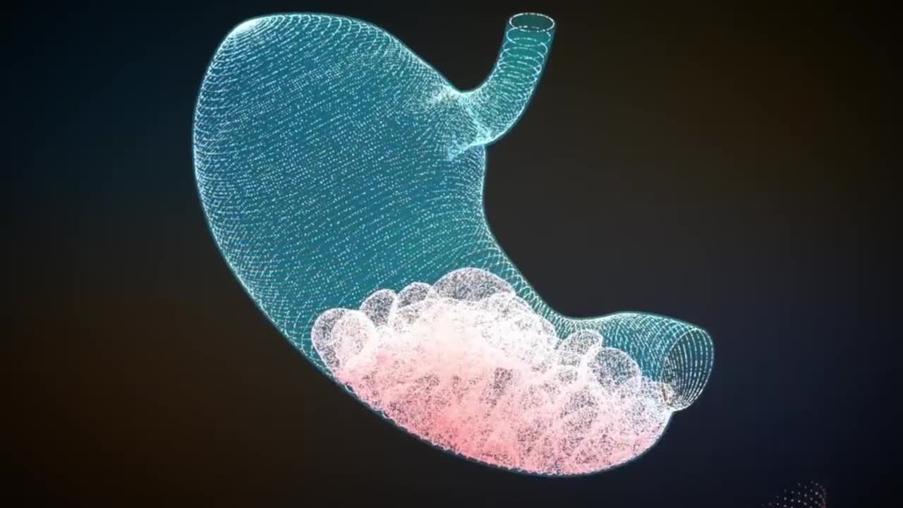 HUMAN DIGESTIVE SYSTEM