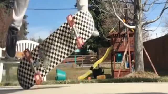 Funny skateboard