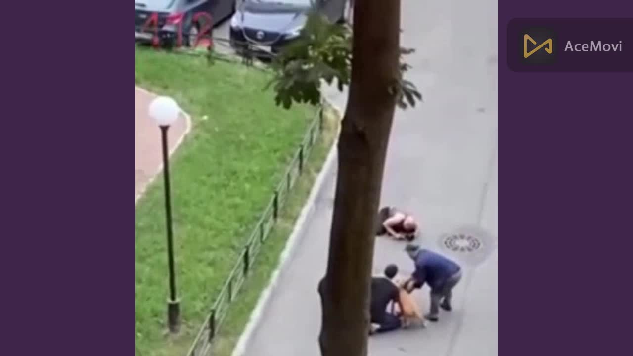 This man protecting his old dog with his own body