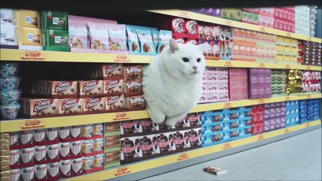 Cat Supermarket! (2016)