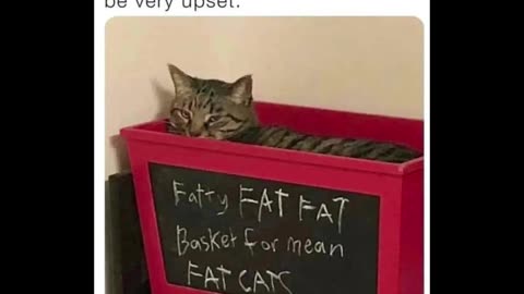 Random Memes 876